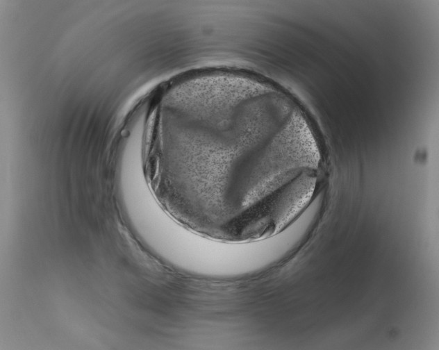 X0000113860975200910151232