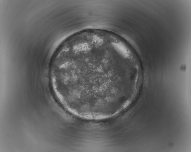 X0000113860976200910151232