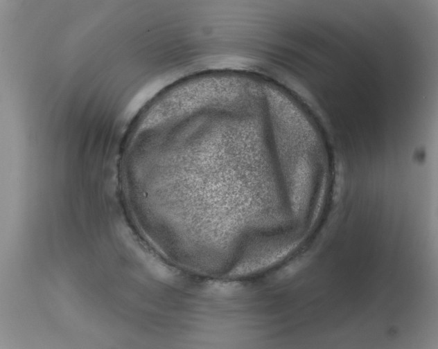 X0000113860978200910151232