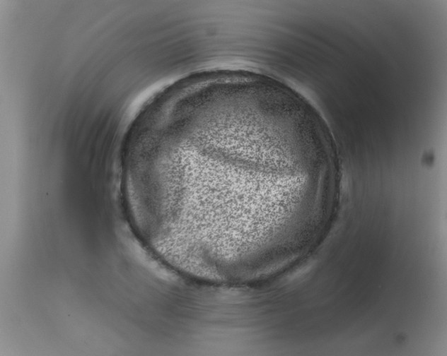 X0000113860979200910151232