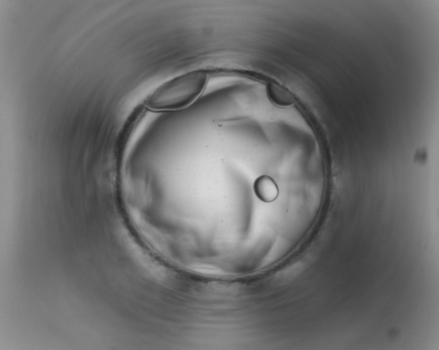 X0000113860981200910151232