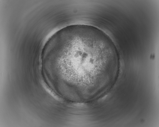 X0000113860982200910151232