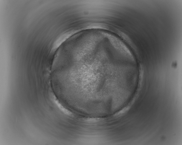 X0000113860985200910151232