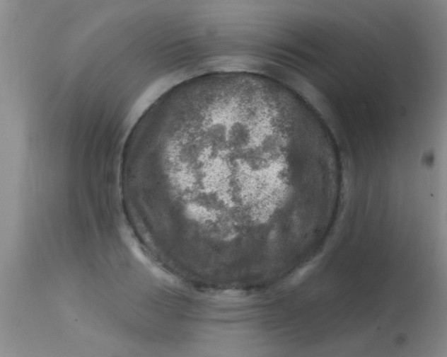 X0000113860986200910151232