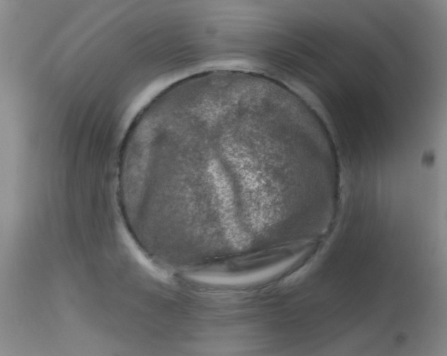 X0000113860989200910151232