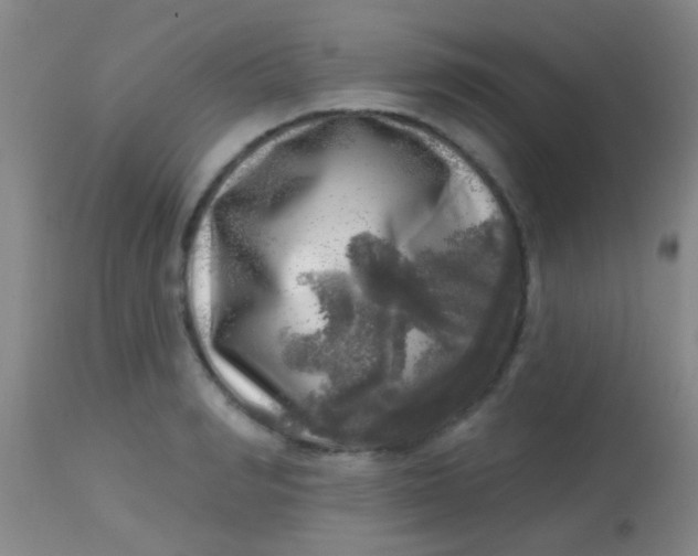X0000113860990200910151232