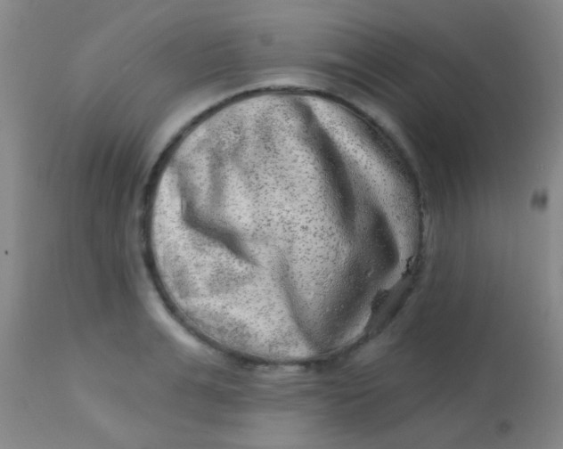 X0000113860991200910151232