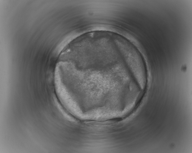 X0000113860993200910151232