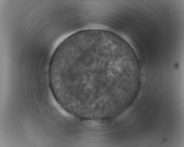 X0000113860995200910151232