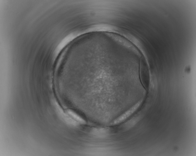 X0000113860997200910151232