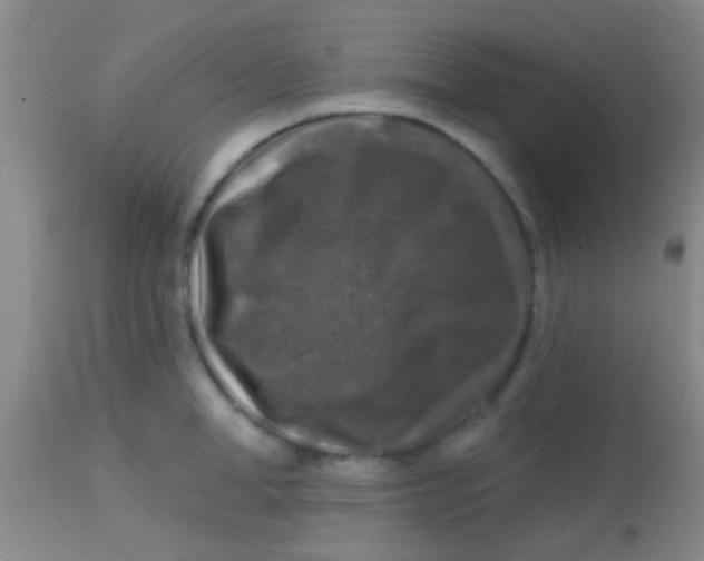 X0000113860998200910151232