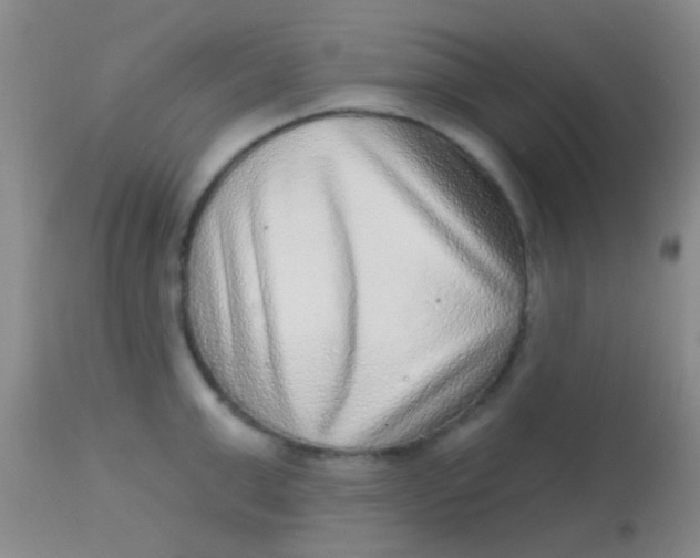 X0000113860999200910151232