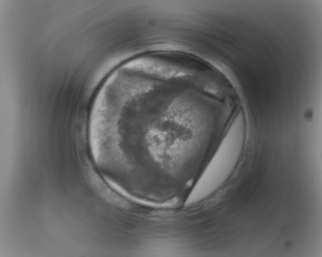 X0000113861000200910151232