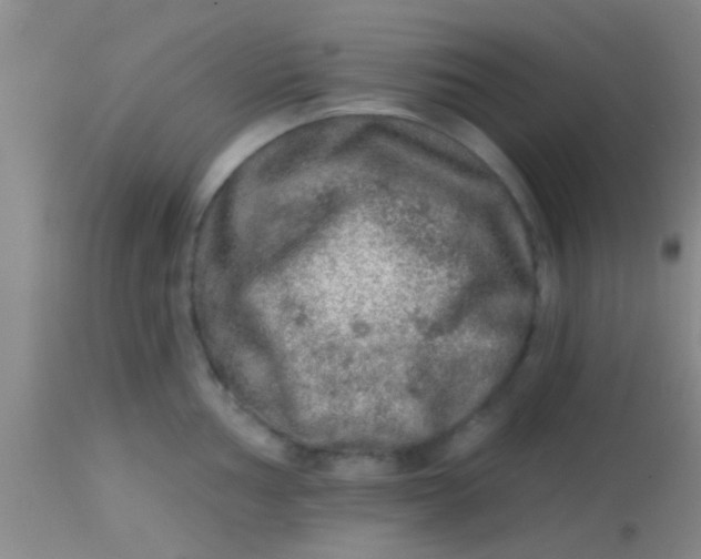 X0000113861002200910151232