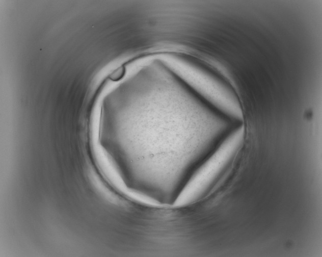 X0000113861003200910151232