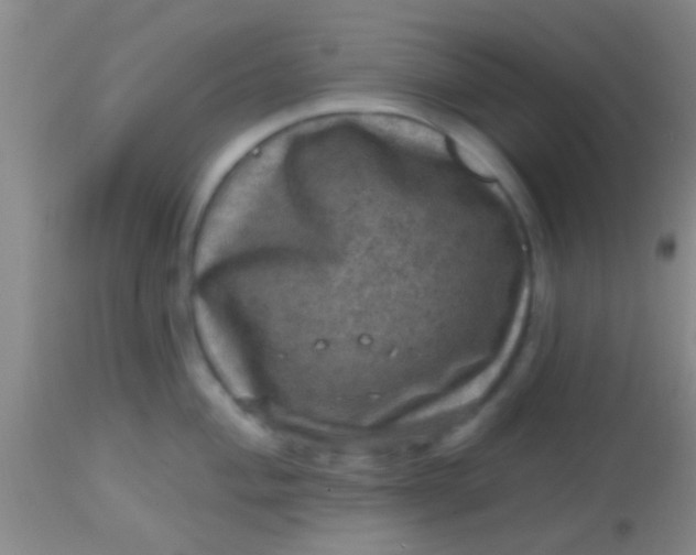 X0000113861004200910151232