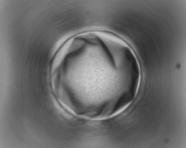 X0000113861006200910151232