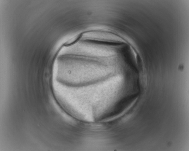 X0000113861007200910151232