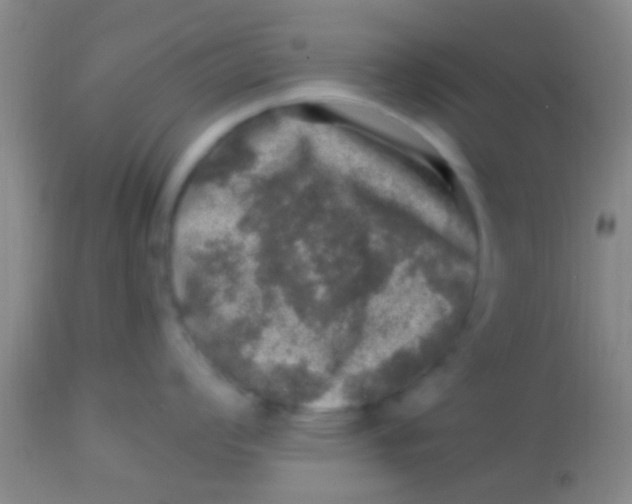 X0000113861008200910151232
