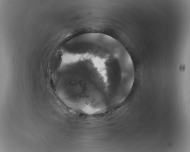 X0000113861009200910151231