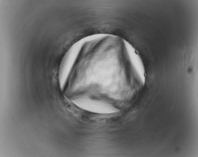 X0000113861010200910151231