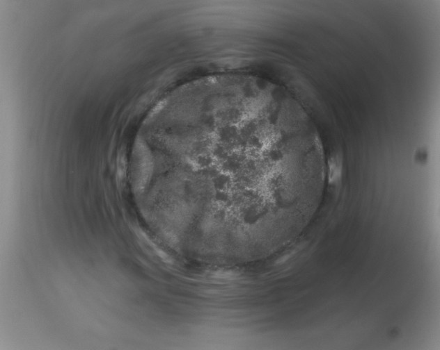 X0000113861011200910151231