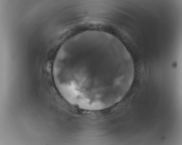 X0000113861013200910151231