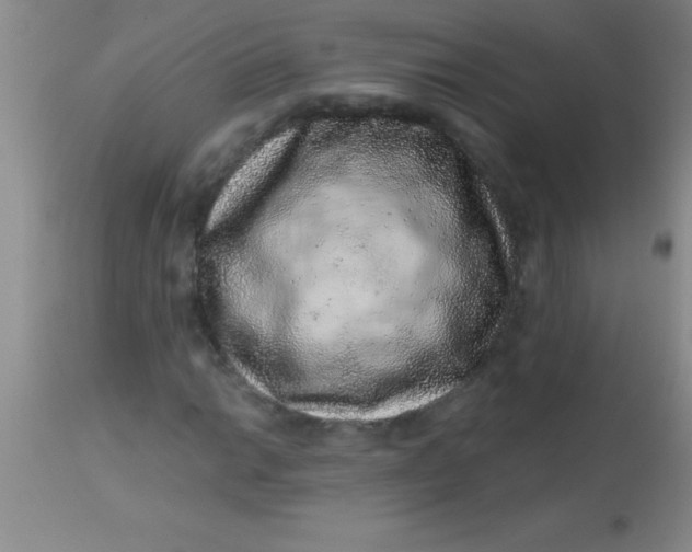 X0000113861014200910151231