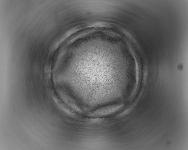 X0000113861017200910151231