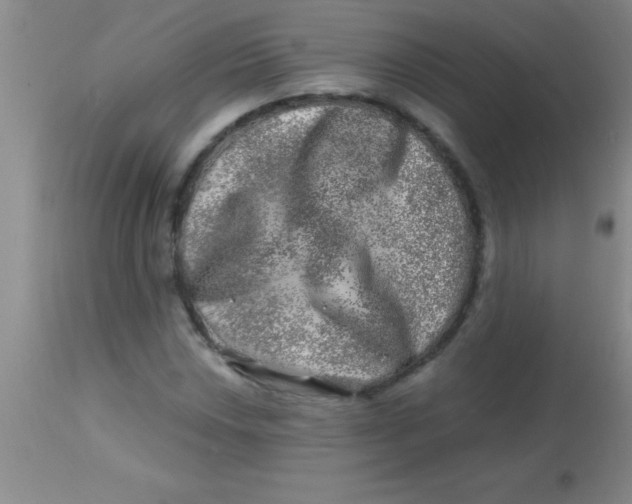 X0000113861018200910151231