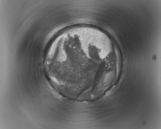 X0000113861019200910151231