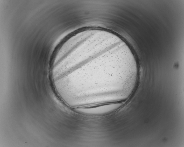 X0000113861020200910151231