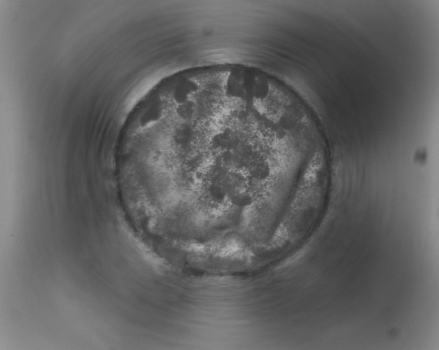 X0000113861023200910151231