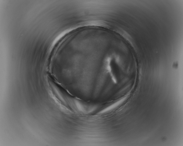 X0000113861024200910151231