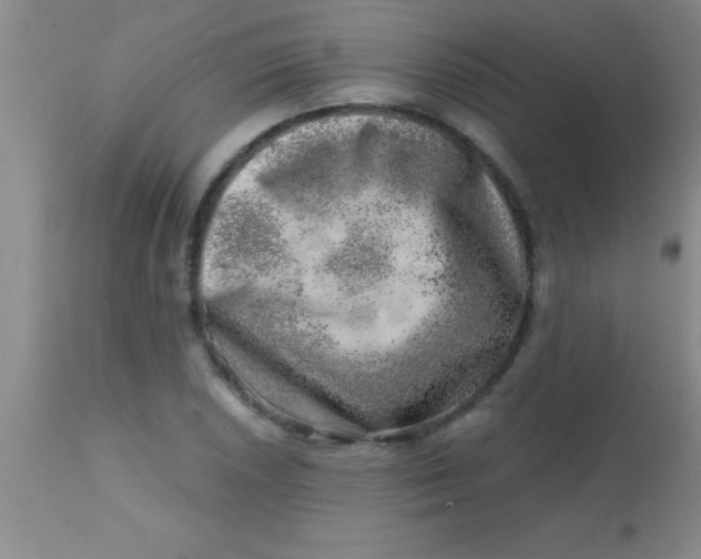 X0000113861026200910151231