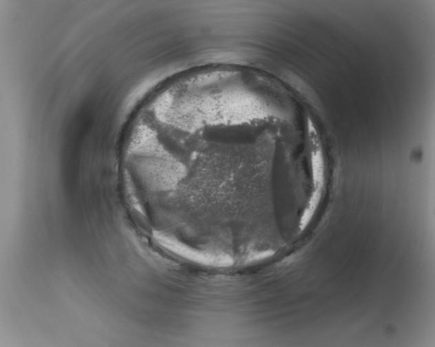 X0000113861027200910151231