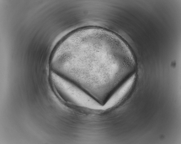 X0000113861028200910151231
