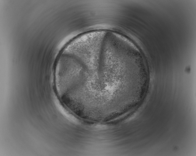 X0000113861034200910151231