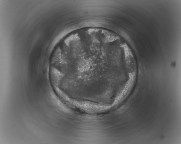 X0000113861035200910151231