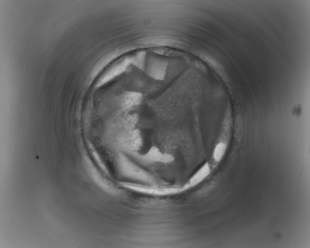 X0000113861039200910151231
