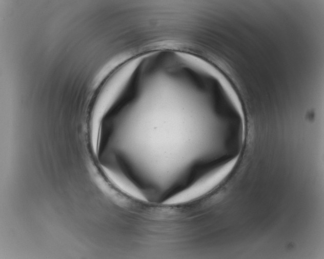 X0000113861042200910151231
