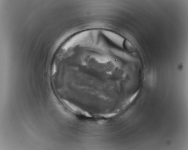 X0000113861043200910151231