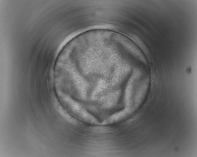 X0000113861044200910151231