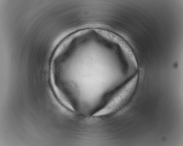 X0000113861046200910151231