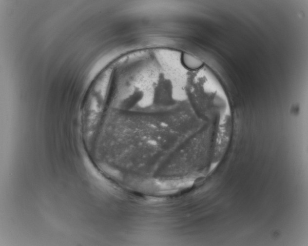 X0000113861047200910151231