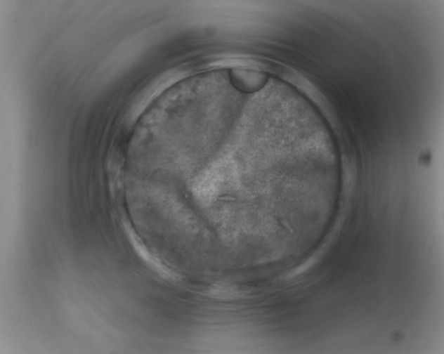 X0000113861049200910151231