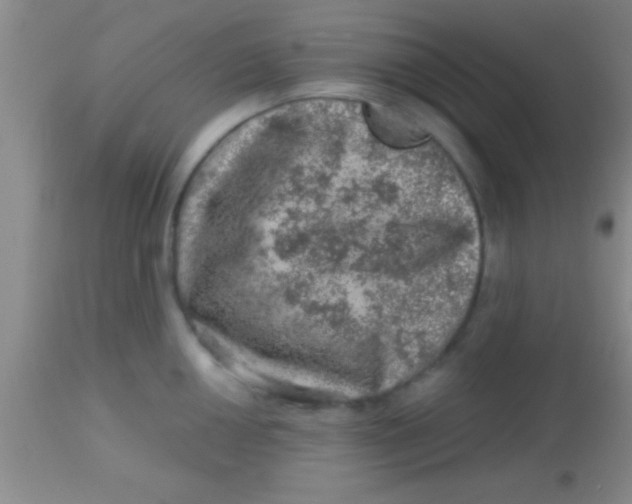 X0000113861050200910151231