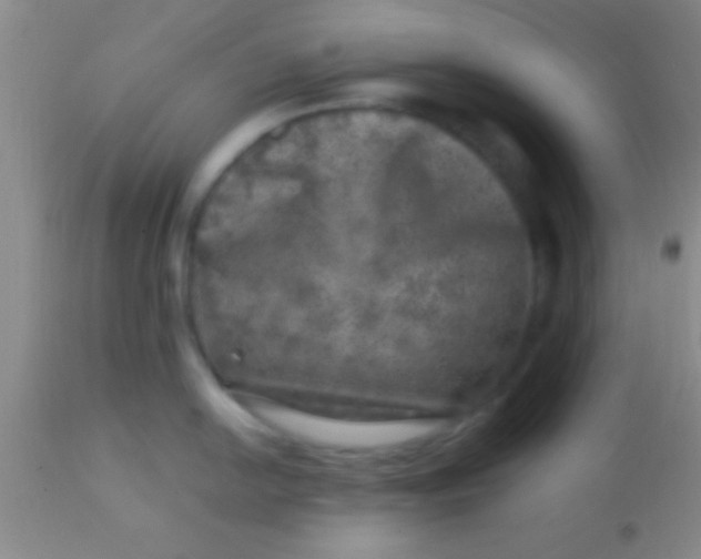 X0000113861054200910151231