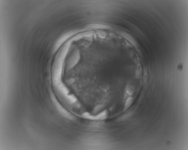X0000113861055200910151232