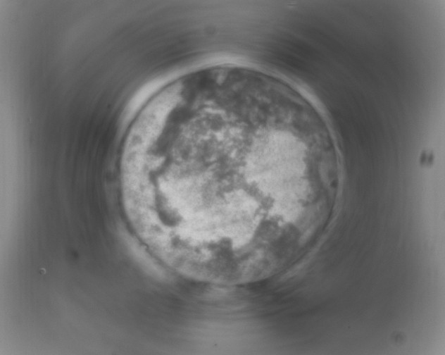 X0000113861056200910151232